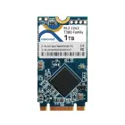 Cervoz Industrial M.2 2242 T380, 256GB TLC,-40~85°C, CIE-M4T380MMF256GW