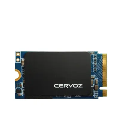 Cervoz Industrial NVMe M.2 2242T405/256GB (CIE-M4T405MMF256GS)