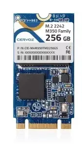 Cervoz Industrial M.2 2242 T380, 128GB TLC,-40~85°C, CIE-M4T380MMF128GW